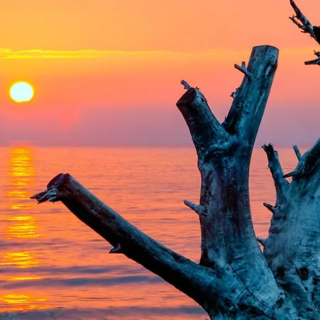 Lamprieger, Parter 아파트 비에크